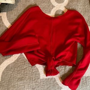 Babaton Red Crop Blouse